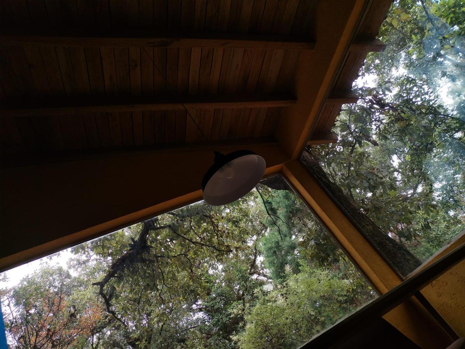 La Cabana Azul Al Fondo Del Bosque De Tepoztlán Kültér fotó