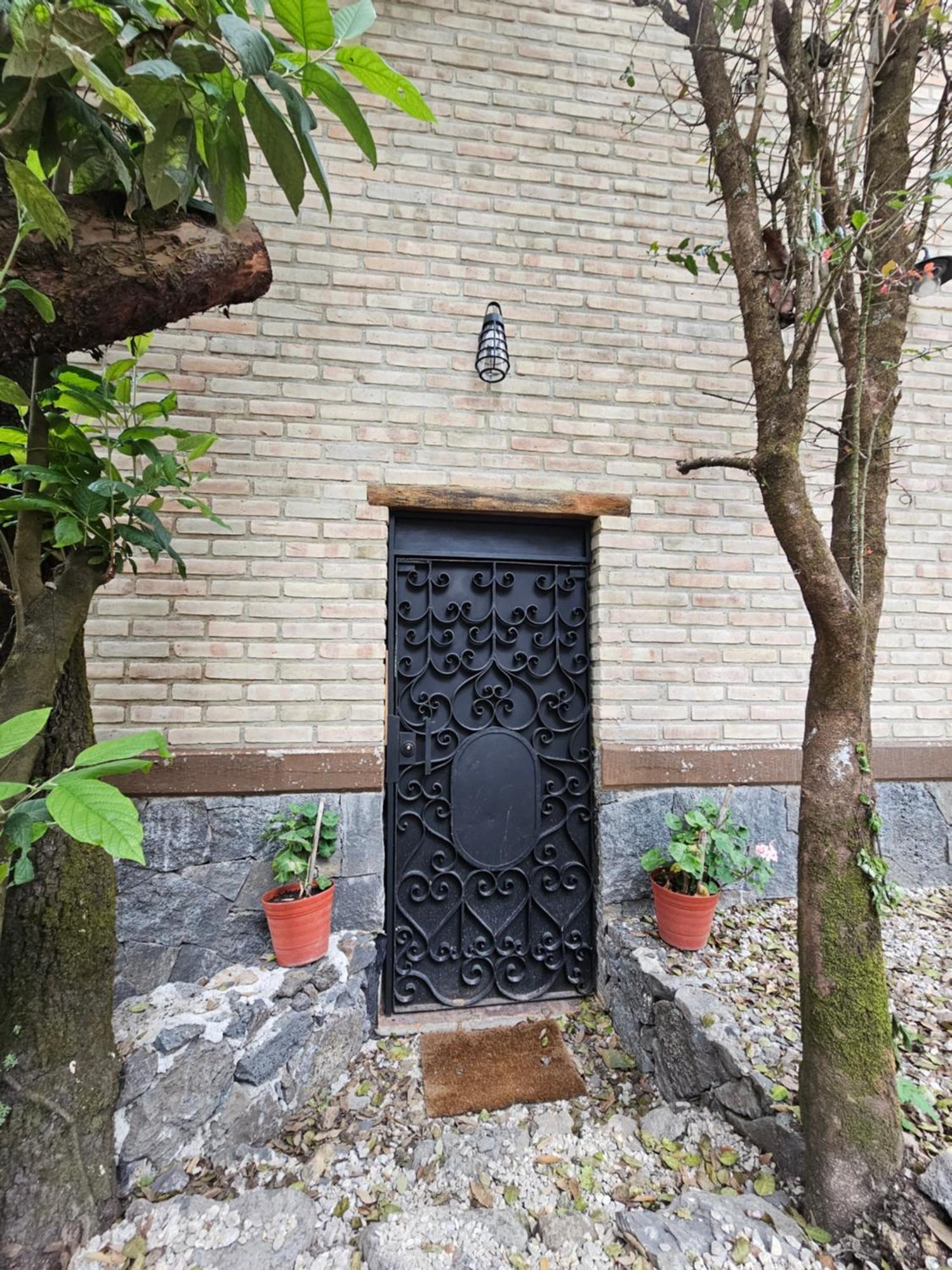 La Cabana Azul Al Fondo Del Bosque De Tepoztlán Kültér fotó