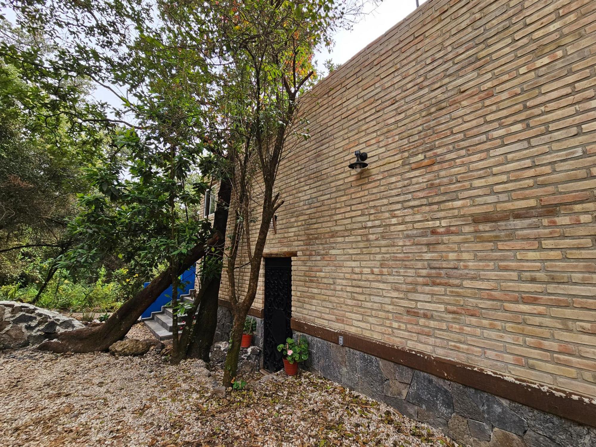La Cabana Azul Al Fondo Del Bosque De Tepoztlán Kültér fotó